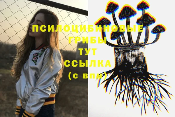 mdpv Касимов