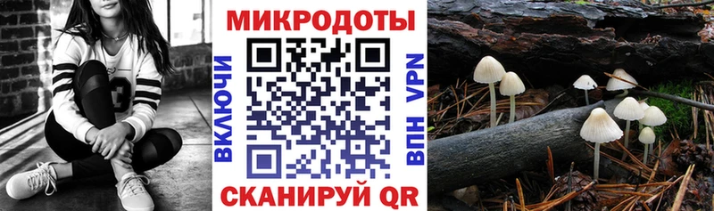 Купить закладки  Вяземский  Псилоцибиновые грибы MAGIC MUSHROOMS 